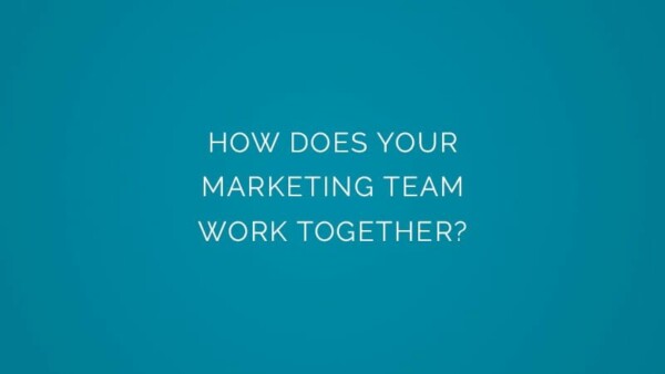How does your marketing team work together?