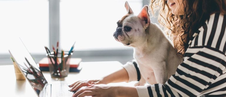 How to Maintain your Sanity When Working from Home | PSM Marketing