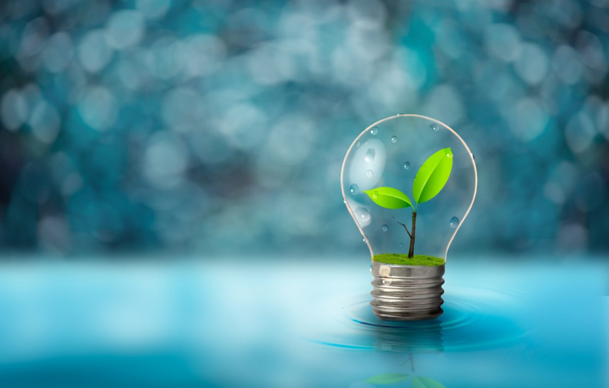 PSM Can Help Your Green Energy Company Thrive - PSM Marketing