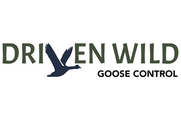 Driven-Wild